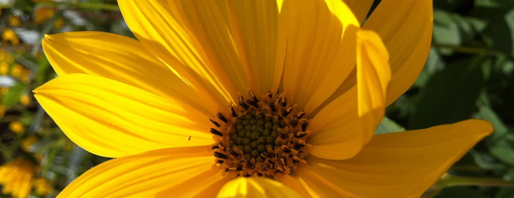 Mor til en teenager?